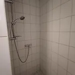 & Bungalowdorf Am Waldbad *
