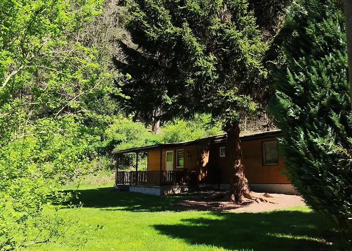 Campingplatz Campingplatz&bungalowdorf Am Waldbad Erlau (St. Kilian)